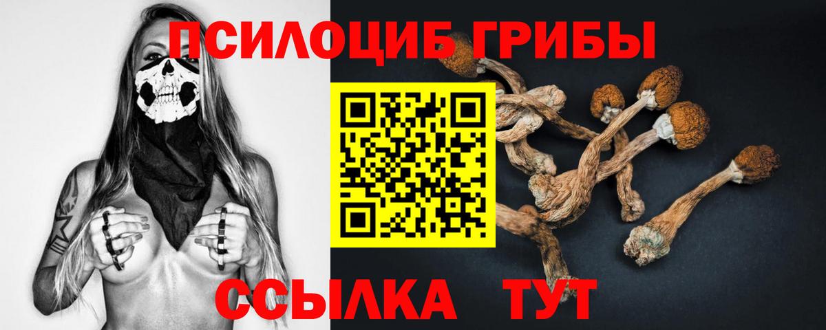 Псилоцибиновые грибы Psilocybe  Вход с VPN  Балашов  Псилоцибиновые грибы Psilocybine cubensis 